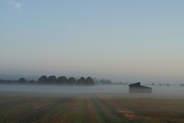 Morgennebel