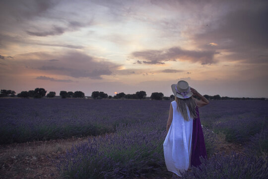 atardecer en los campos de lavanda