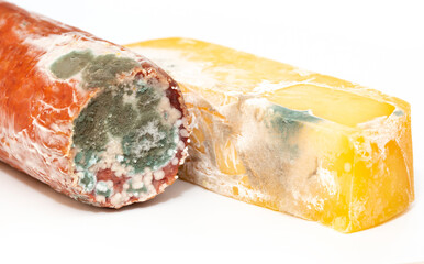 Spoiled food, sausage and moldy cheese on a white background. Mold close-up macro. Moldy fungus on...