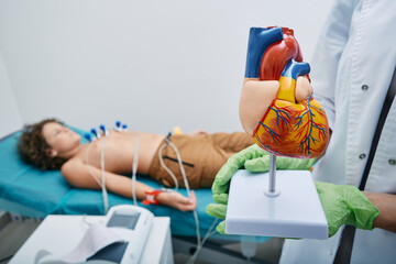 Anatomical model of human heart in doctor's hands over background of male child lying on bed during ECG procedure. Electrocardiography for children