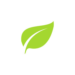 Simple flat green leaf design vector The concept of forest preservation by using natural products