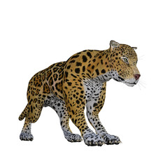 Jaguar 3d model illustration