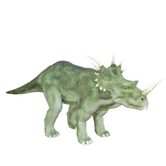 Triceratops dinosaur isolated 3d render