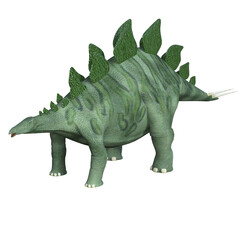 Stegosaurus dinosaur isolated 3d render