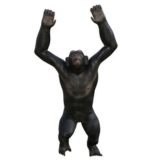 Chimpanzee 3D Model 