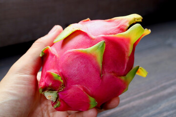 Closeup a Fresh Ripe Hot Pink Dragon Fruit in a Hand