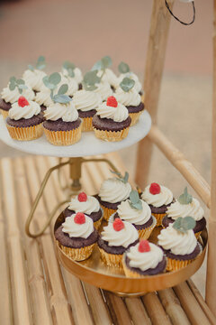 beautiful cupcakes on a wedding buffet