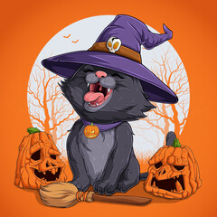 Funny black cat in Halloween disguise sitting on a broom and wearing witch hat with pumpkins