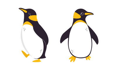 Emperor penguins, front and side view. Cute antarctic bird. Symbol of cold and winter flat vector illustration