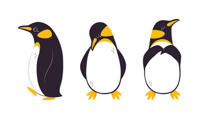 Set of emperor penguins in different poses. Cute antarctic bird. Symbol of cold and winter flat vector illustration