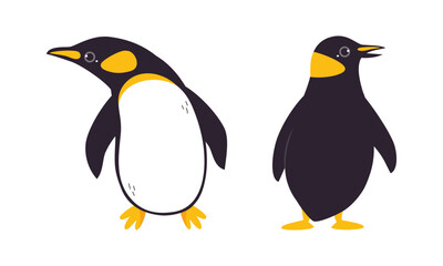 Emperor penguin front abd back view. Cute antarctic bird. Symbol of cold and winter flat vector illustration