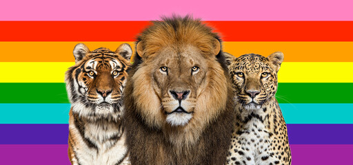 Lion, tiger and spotted leopard, together in front of RAINBOW flag