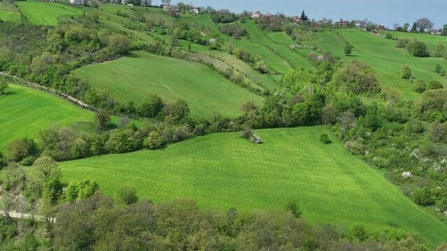 Green Fields in the Spring Season  Drone Photo, Gerze Sinop, Turkey