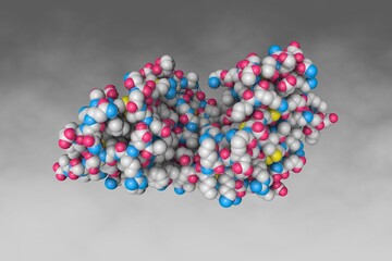 Myotoxin II from Bothrops moojeni co-crystallized with Varespladib. Space-filling molecular model on grey background. Rendering based on protein data bank entry 6pwh. 3d illustration