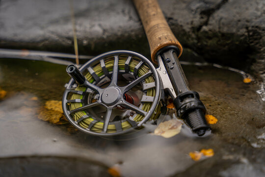 Fly fishing for trout.