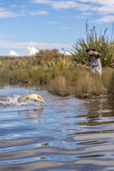 fly fishing.