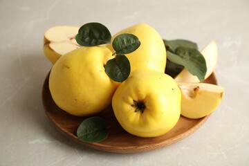 Fresh ripe organic quinces with leaves on light table