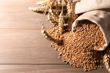 Wheat grains with spikelets on wooden table, space for text