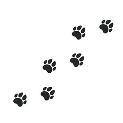 Fototapeta na wymiar Dog and cat paw prints. A collection of dog footprints with claws. vector illustration.