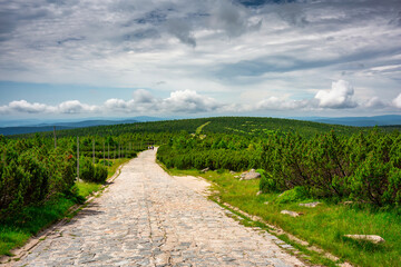 Summer scenery of the trail on Mount Szrenica in the Karkonosze Mountains, Poland.