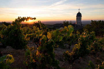 Paysage du Beaujolais au lever du jour autour du village viticole de Chiroubles en été en France...