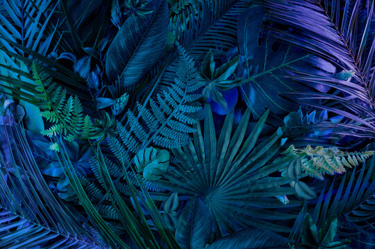 Fototapeta Exotic bright tropical colorful background with colorful painted palm leaves. Flat lay minimal summer concept.