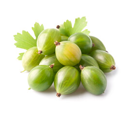 Gooseberry with leaves