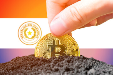Legalization of bitcoin in Paraguay. Landing bitcoin in the ground against the background of the flag of Paraguay. Paraguay - investment in cryptocurrency.  - obrazy, fototapety, plakaty
