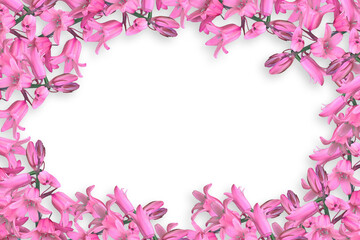 Fototapeta na wymiar Flower border Frame Background, Flower Background, Floral Frame Background.