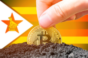 Bitcoin legalization in Zimbabwe. Landing bitcoin in the ground against the background of the flag of Zimbabwe. Zimbabwe - investment in cryptocurrency.  - obrazy, fototapety, plakaty