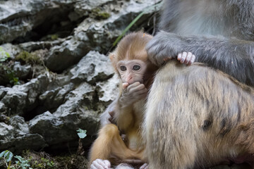 mother and child