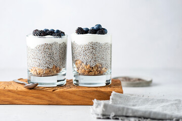 Vegan dairy free chia pudding with granol and fresh berries, grey concrete background with copy space for text or design elements - 525798792