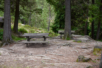Picnic area. Wooden tables for picnics in a forest in Portugal