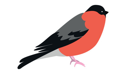 Obraz premium red-breasted bird on a white background