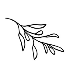 Vector illustration of a branch with fruits in a concise form. The illustration of a branch on a white background is isolated