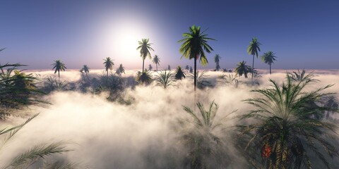 Palm trees in the rays of the setting sun, jungle in the morning fog, palm trees in the haze, 3d rendering
