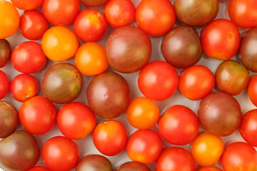 Top down view of a variety of fresh, organic, different color and size cherry tomatoes. Colorful macro food background texture