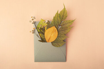 Photography from above of craft envelope full of dry leafs.Autumn concept.