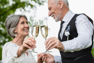 blurred and mature newlyweds smiling while clinking glasses of champagne in green garden