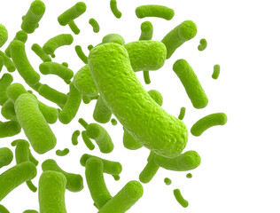 Bacteria cells green color close up