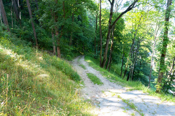 Car path from castle to the road