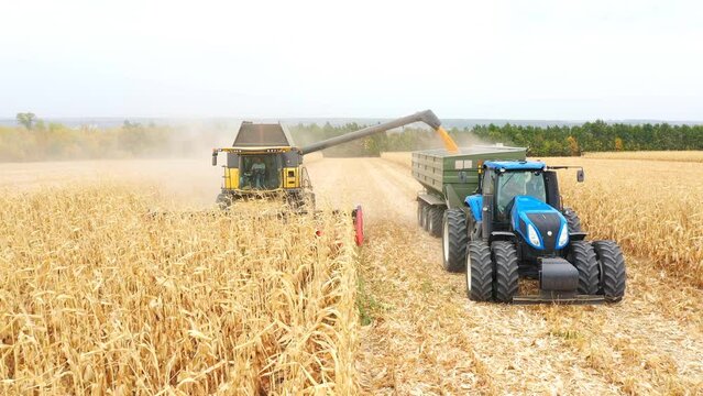 Aerial shot of combine loading off corn grains into tractor trailer. Agricultural machines working in farmland during harvesting. Farming concept. Front view