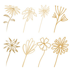 Fototapeta na wymiar Set of flowers and leaves in boho style doodle elements
