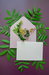 Flatlay pink mockup envelope filled with yellow small flowers and small leaves with a  vibrant spring green leaves around, White card mockup on large dark purple background copyspace 