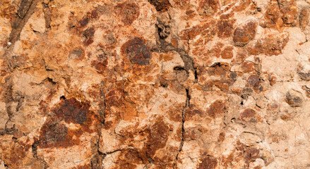 Sedimentary rocks with a high content of iron oxide. Red soil, loam. The texture of the soil.