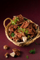 mushrooms on a burgundy background