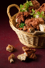 Forest morel mushrooms on a burgundy