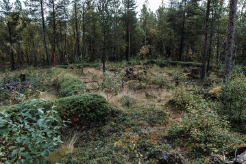 The ruins of Skoganvarre field hospital from World War II in the Finnmark region of Norway, urbex