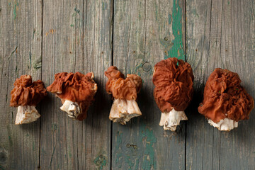 morel mushrooms in a row