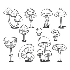 Different mushrooms drawn in doodle style. Black and white line art illustration in a hand-drawn style.
Pictures are great to use as a design element for prints, banners, posters, stickers, labels